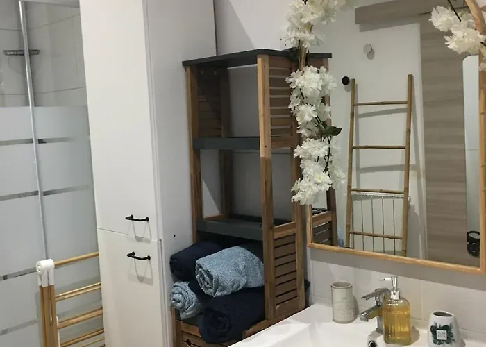 Le De La Grande Conche Royan